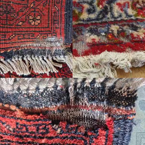 Rug moth damage Auckland – severe wool rug infestation requiring professional moth removal and restoration