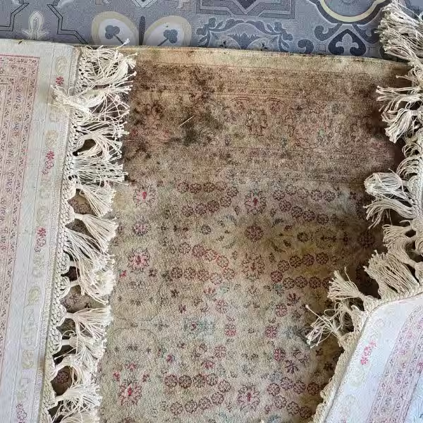 Rug mould inspection Auckland – identifying fibre damage and moisture levels in rugs
