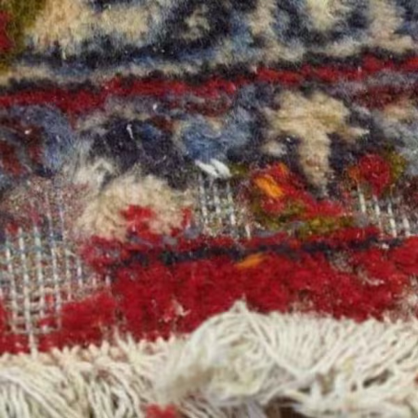 Auckland rug moth damage in wool rugs showing larvae infestation inside fibres causing structural deterioration before cleaning and restoration