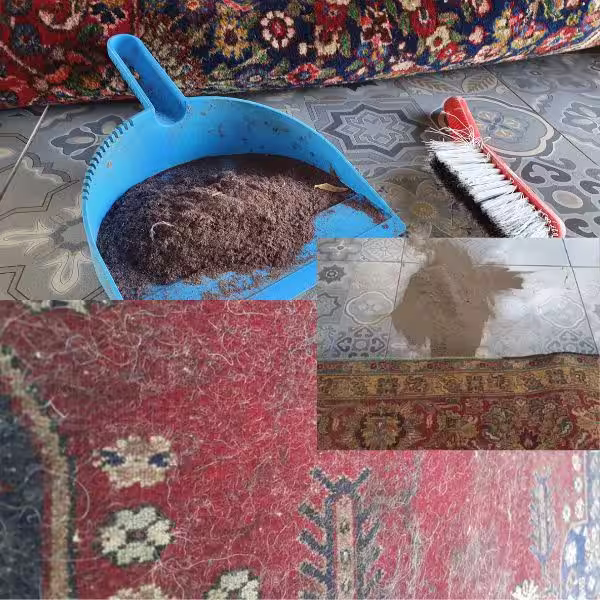 Trusted rug washing specialists in Auckland providing professional cleaning for Persian, Oriental, wool and silk rugs using controlled hand-washing methods