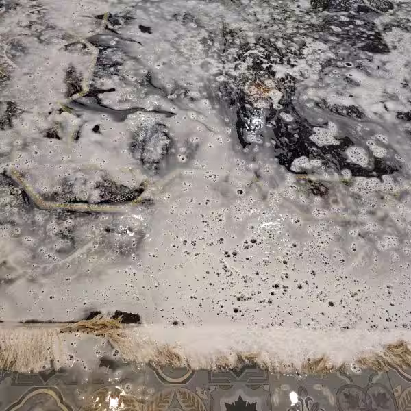 Cat urine odour removal from rugs in Auckland with specialist rug washing and odour neutralisation treatment