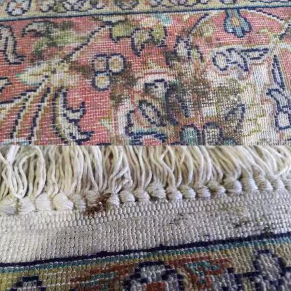 Expert mould removal from rugs in Auckland targeting deep fibre contamination, moisture damage, and microbial growth in handmade rugs