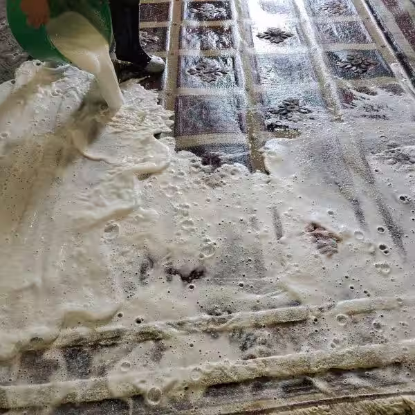 Expert rug odour removal services in Auckland for Persian, Oriental, wool, silk, and handmade rugs by The Rug Guru