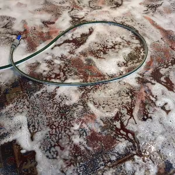 Pet urine and rug odour treatment in Auckland for handmade and wool rugs using specialist odour removal methods