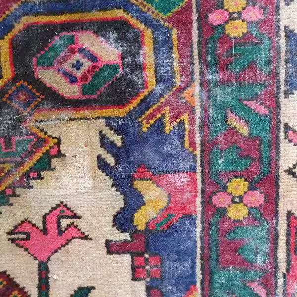 Professional rug mould removal in Auckland for Persian, Oriental, wool, and handmade rugs using specialist fibre-safe treatment methods by The Rug Guru