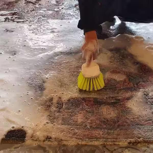 Common risks of improper rug cleaning including dye bleeding, fibre damage, shrinkage, odour retention and structural deterioration in delicate rugs