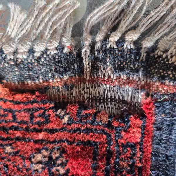 Rug after moth removal in Auckland showing clean fibre foundation with no larvae or infestation damage remaining