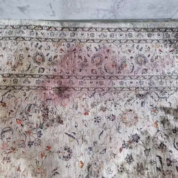Silk rug stain cleaning for delicate handmade and luxury rugs in Auckland