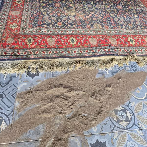 Professional rug dust removal and cleaning services in Auckland using specialist hand-cleaning methods for Persian, Oriental, wool and silk rugs